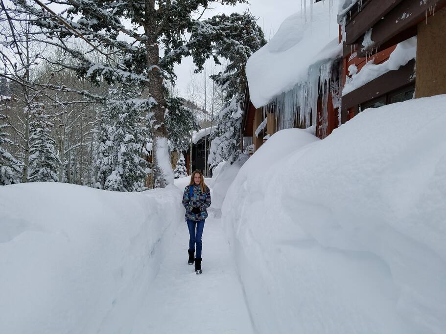 Perfect winters