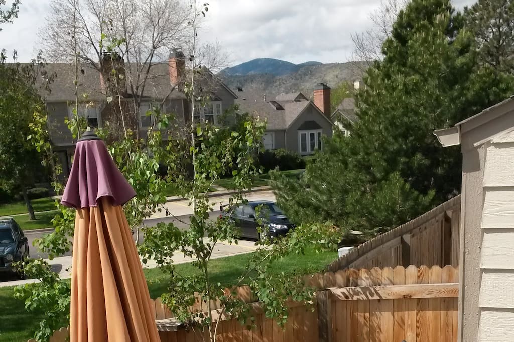 Overlooking back patio - the neighborhood