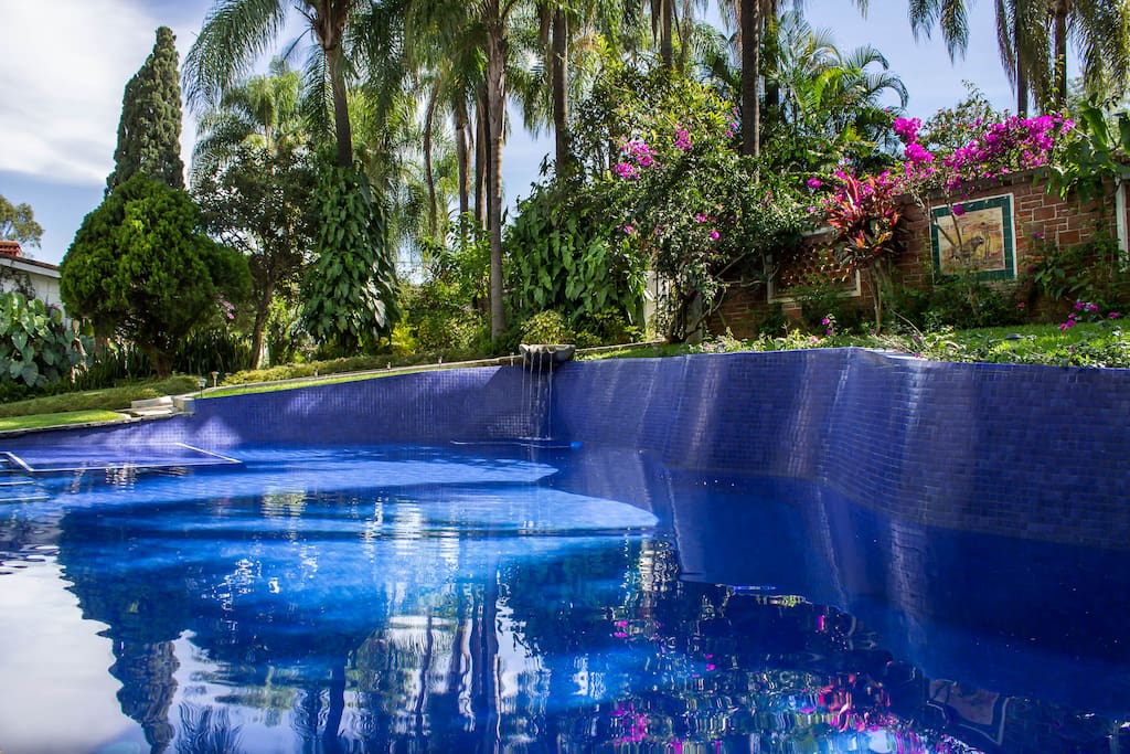 Alberca renovada con mosaico Veneciano/Remodeled pool with Venetian cobalt blue tile.