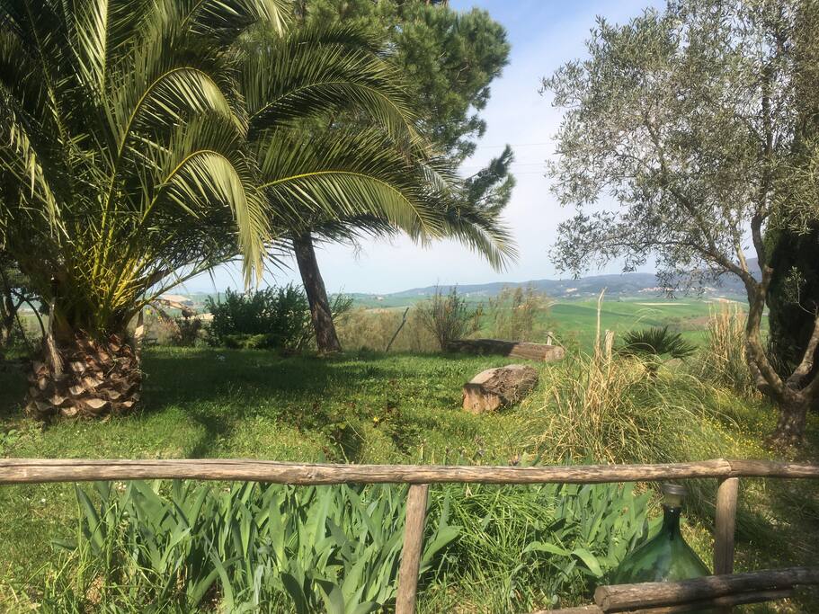 Giardino