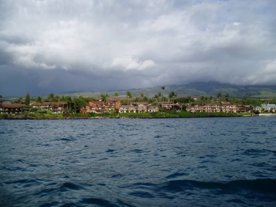 From the water