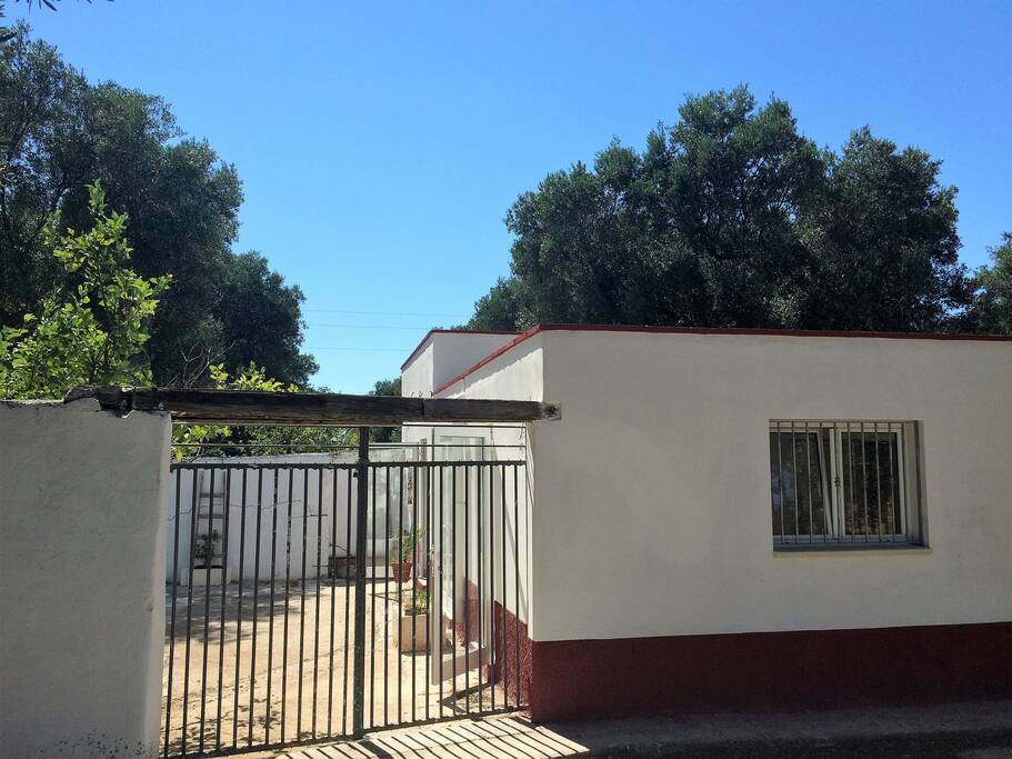 Side access to the property