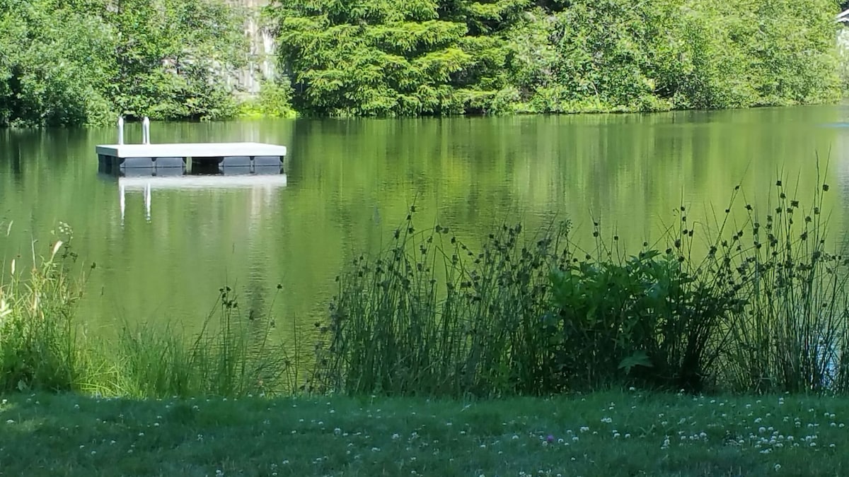 A serene view of a small, quiet lake surrounded by lush greenery. In the foreground, tall grasses and wild plants frame the scene, while a wooden dock extends from the shoreline into the calm water, reflecting the vibrant greenery. Trees line the opposite shore.