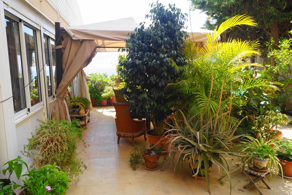 Garden. Jardin