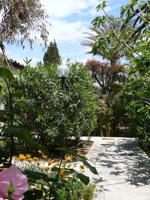 Mediterraner Garten / mediterranean garden