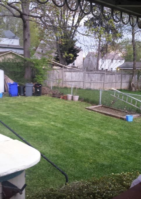 Side back yard