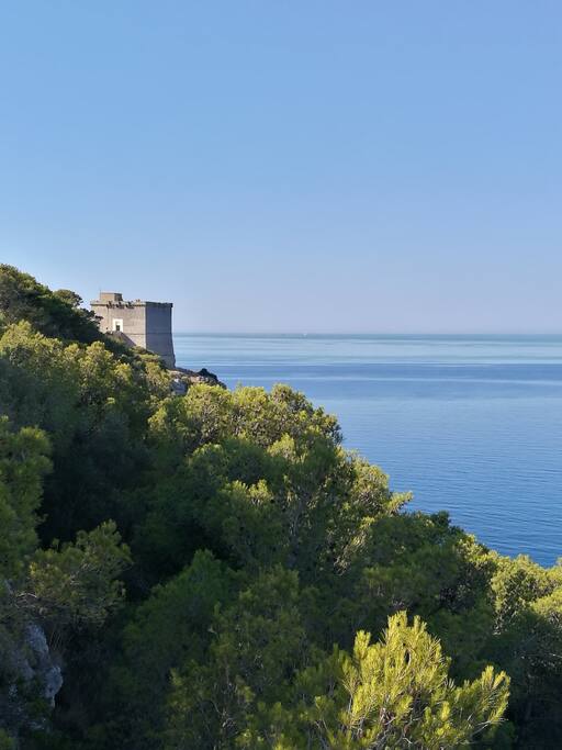 torre del parco di portoselvaggio