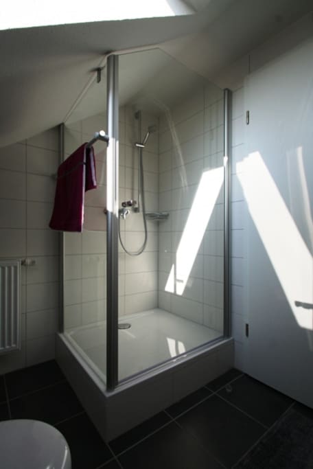 1. Badezimmer im Dachspitz