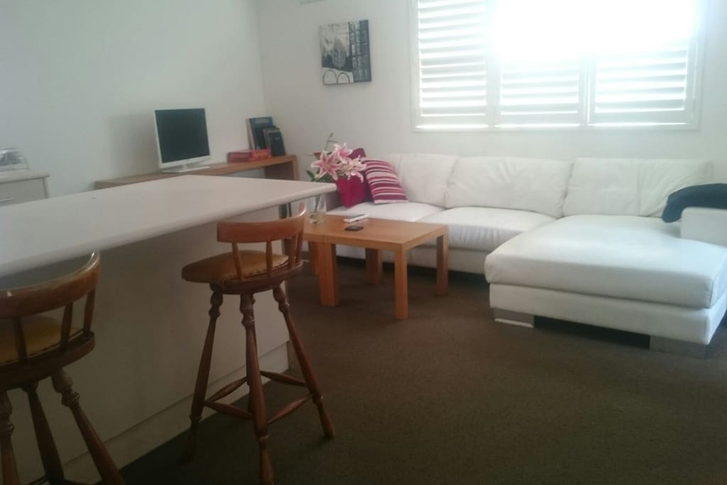 combined guest lounge and fully functional kitchen and TV room with x box and board games