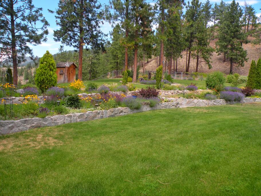 Back yard (your relaxation space)