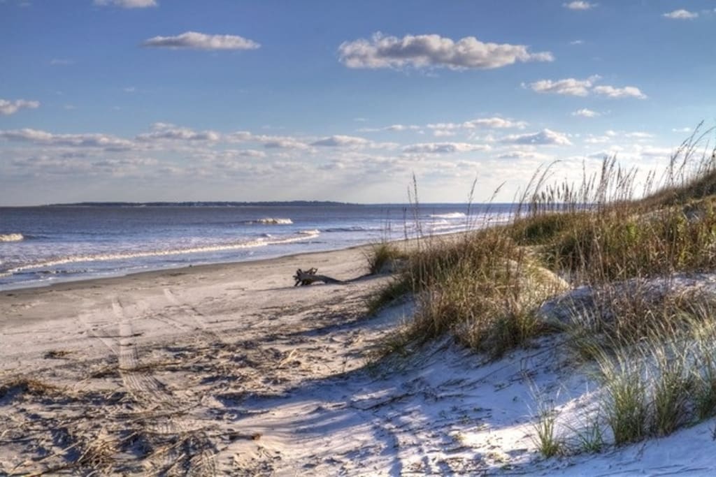BEACH AT SAINT SIMON ISLAND