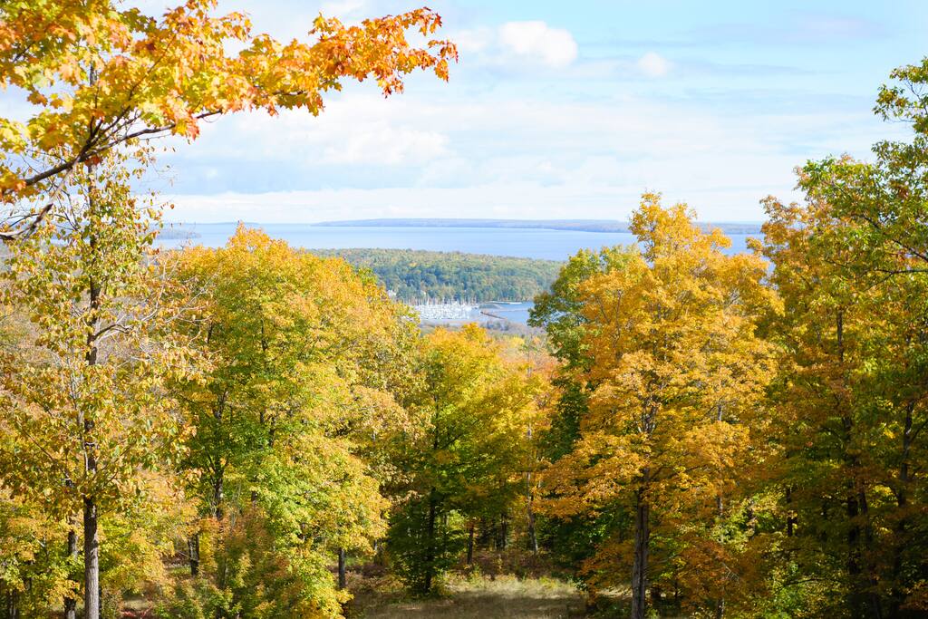 View of the lake from the property