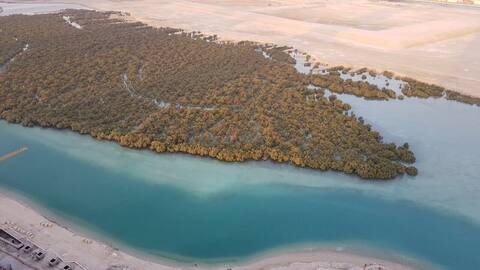 One large bedroom flat best area in Abu Dhabi