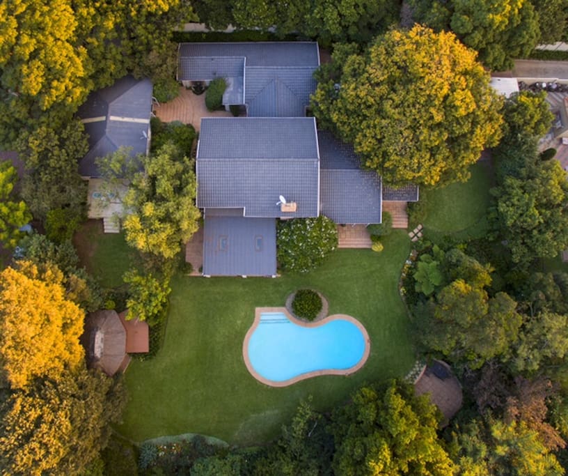aerial view