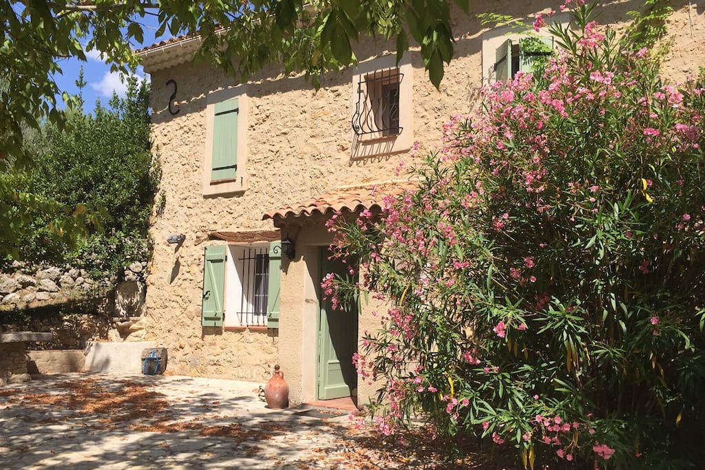 The house