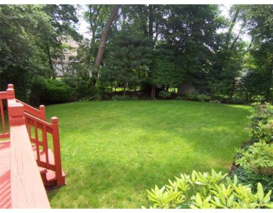 Backyard, view from deck.