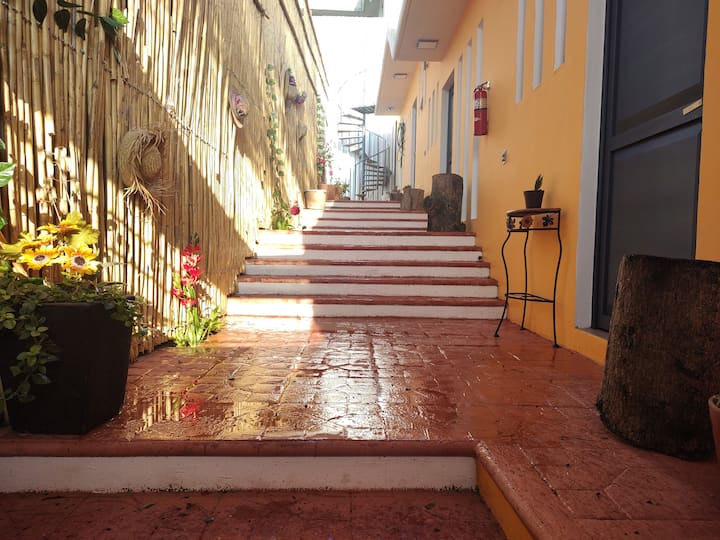 Family home near the city center Houses for Rent in Oaxaca de Juárez, Oaxaca, Mexico Airbnb