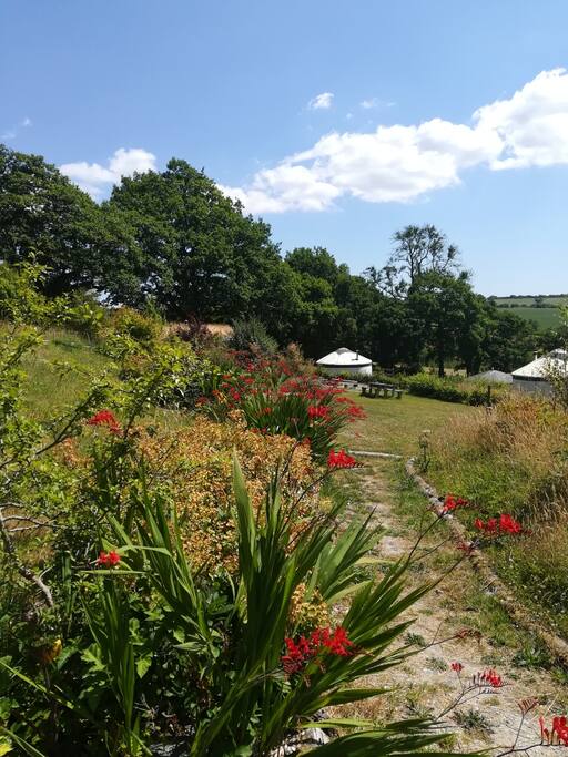 Fron Farm Yurt Retreat