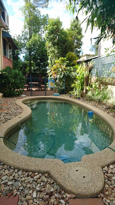 Cool saltwater pool with privacy.