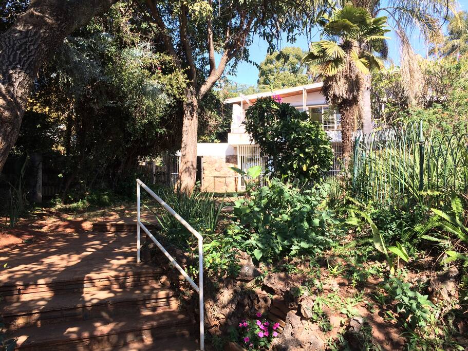 Garden approach to house