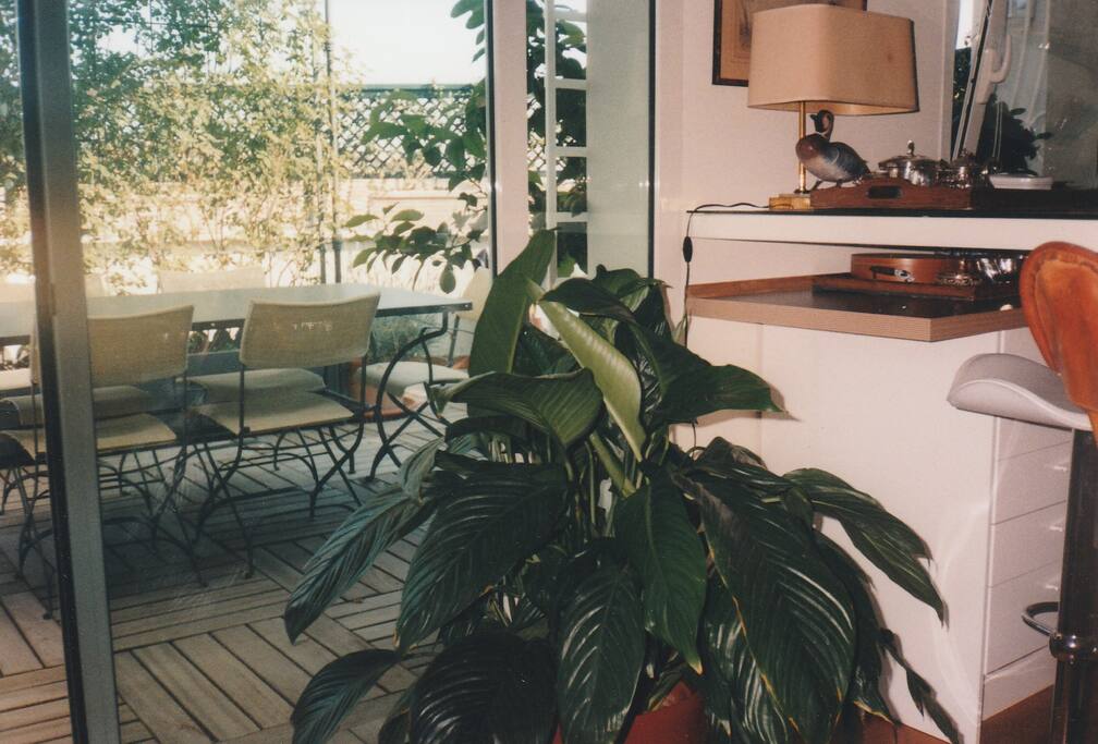 Terrazza