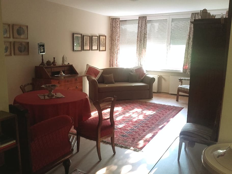 The living room. The couch folds out into a double bed.