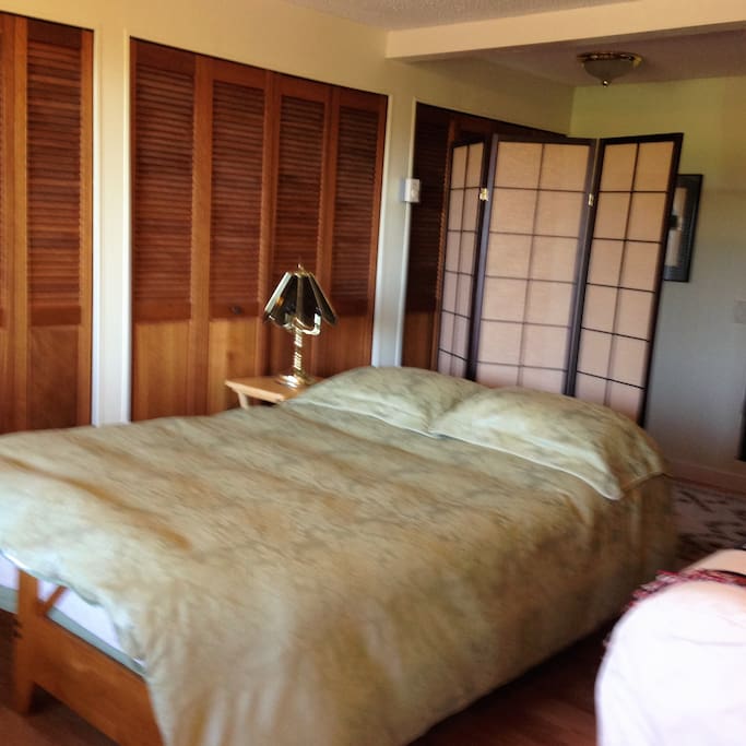 Comfortable queen bed. There is also a double futon bed & a double Ikea bed.