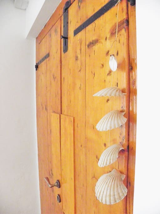 wood and shell