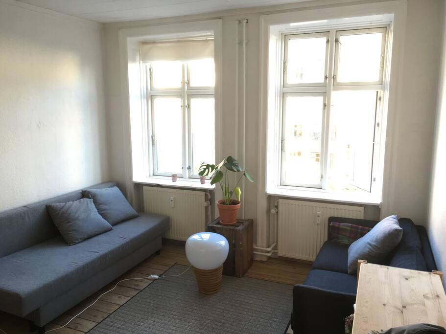 Living room and sofabed on left