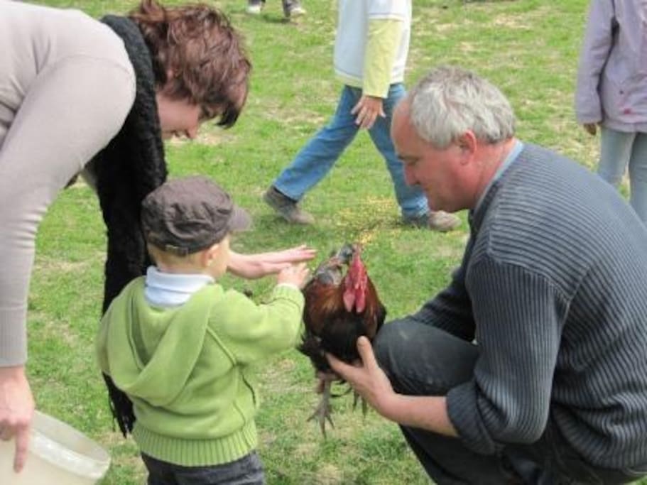 Parc des animaux de la ferme - ouvert tous les jours
