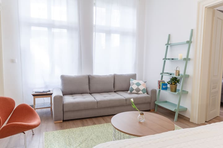Apartment near to Wenceslas Square