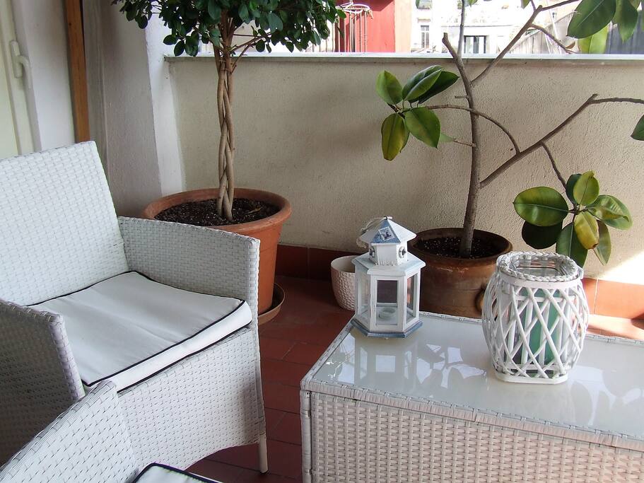 the terrace