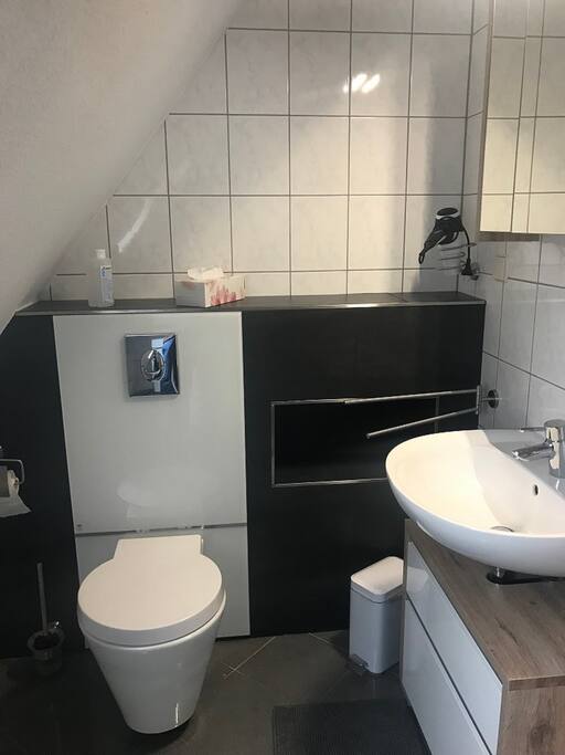 Hier sieht man das WC und das Waschbecken