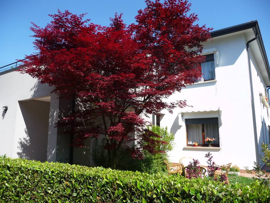 L' Acero Rosso