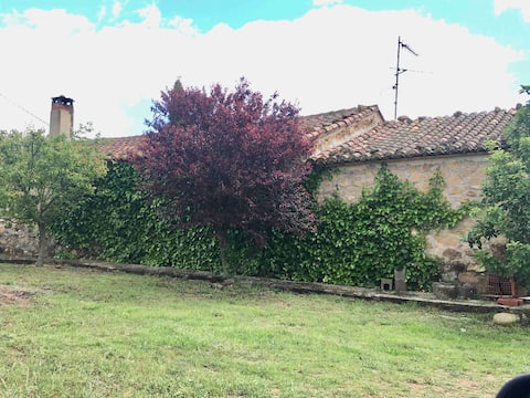 Cute cottage with a small pool and gardens