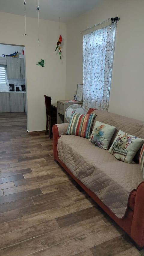 Popular Airbnb listing: Charming and Cozy House in P.R 8 min to Rainforest in Hato Candal