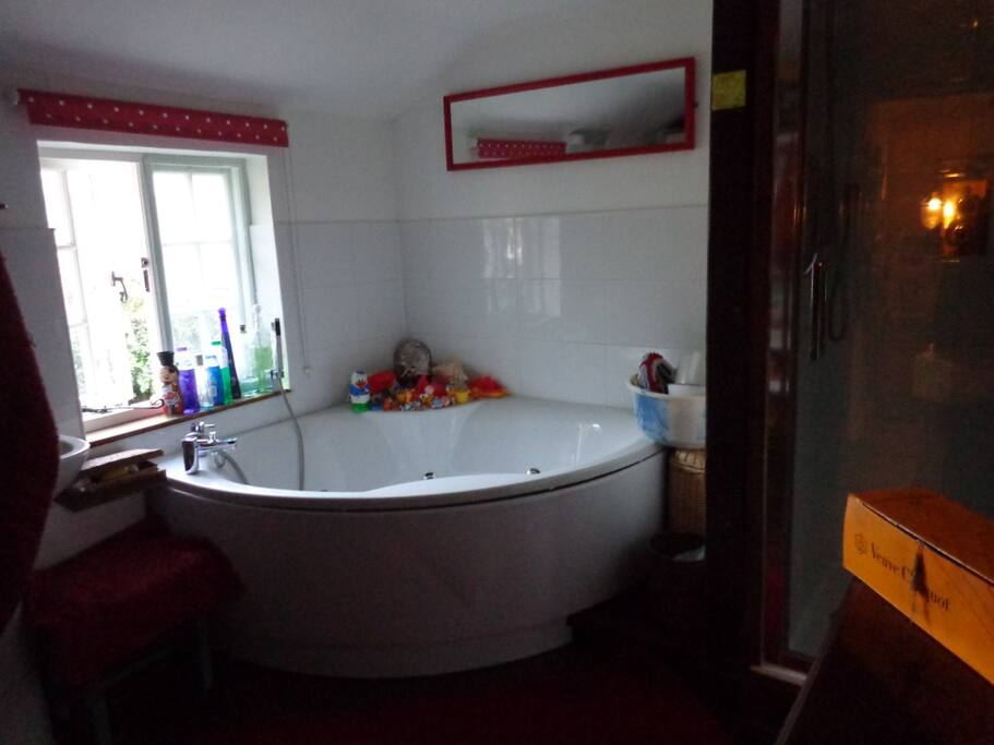 Fancy a Jacuzzi bath or shower?