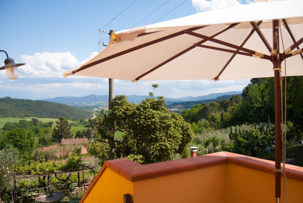 terrazza