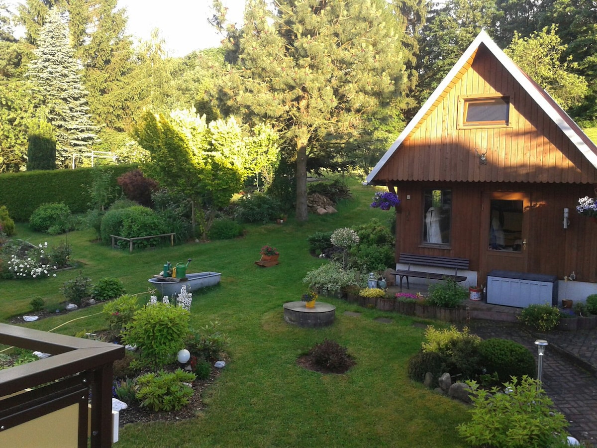 A well-maintained garden surrounds a charming wooden house, featuring a variety of shrubs and flowering plants. A spacious lawn is complemented by decorative landscaping elements and garden furniture. Sunlight illuminates the area, creating a serene environment for leisure activities.