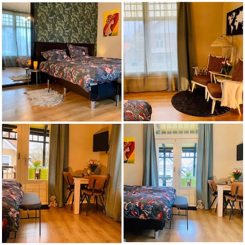 Popular Airbnb listing: Private guest suite in villa near downtown Apeldoorn in Apeldoorn