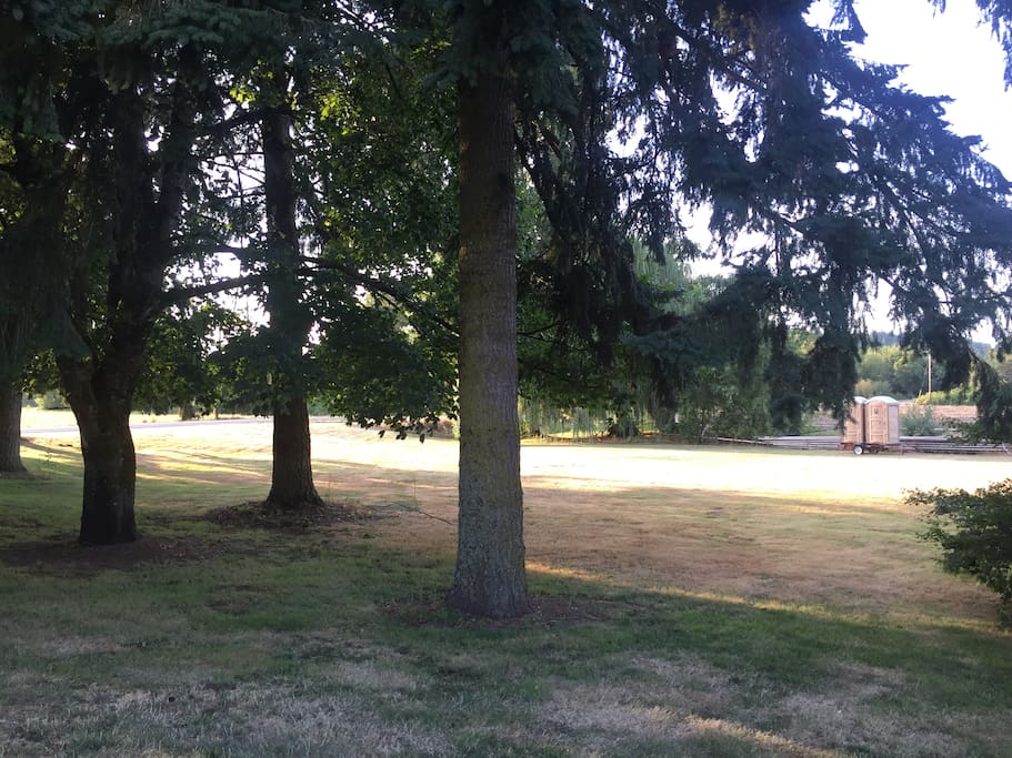 Choose your spot in the shade or the sunny open field.