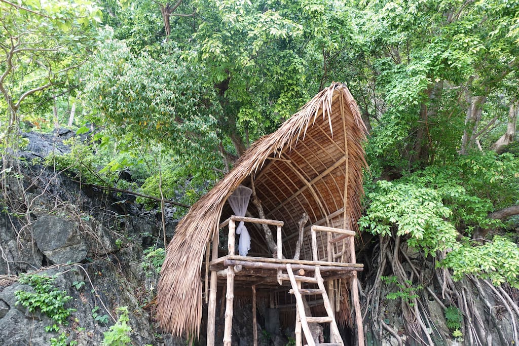Tree Hut