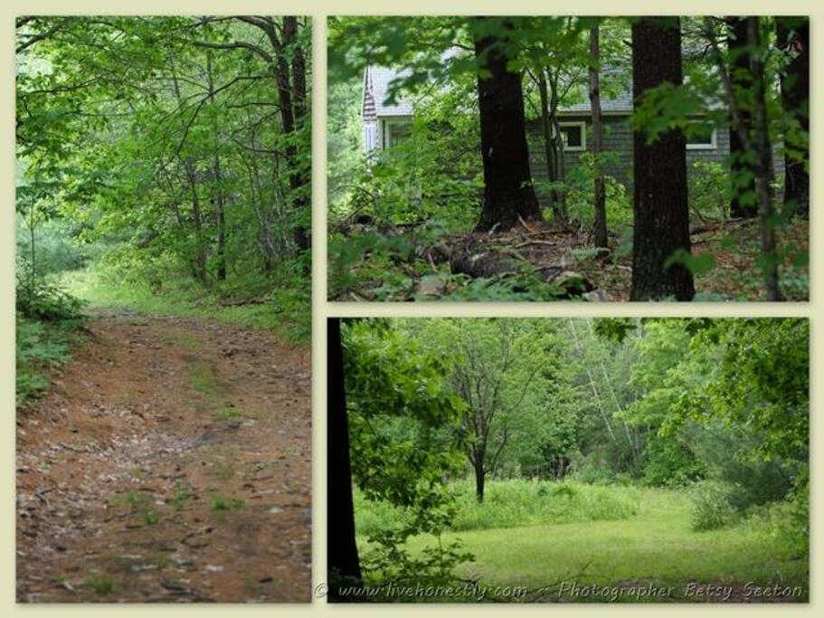 Driveway and some outdoor spaces