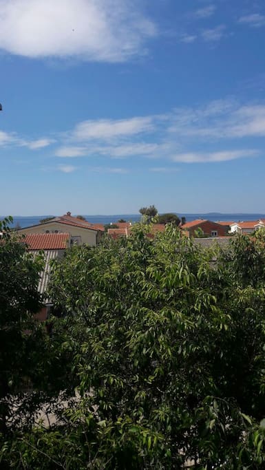 view from living room