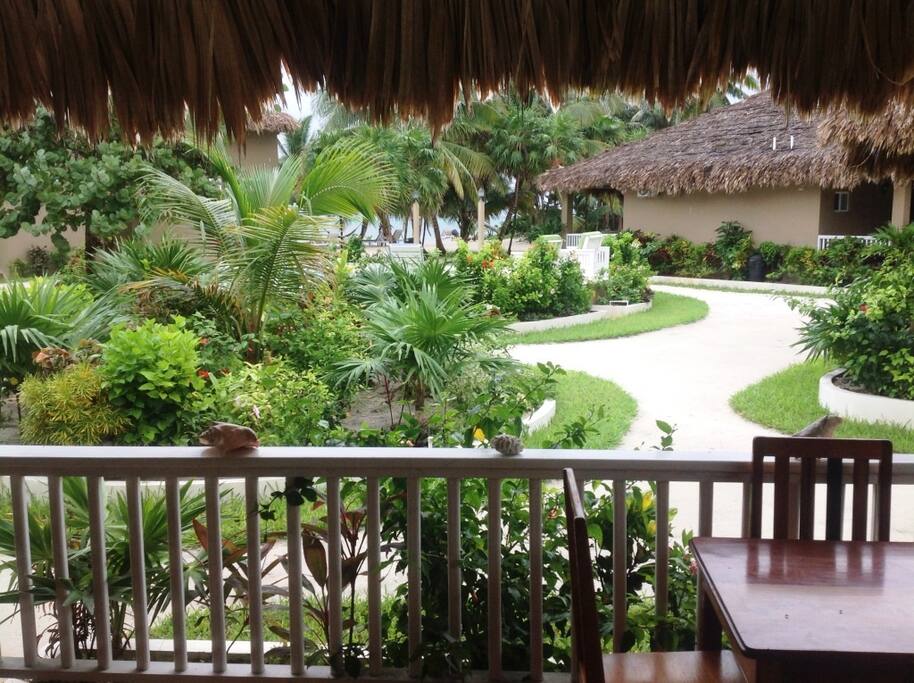 view from our front porch