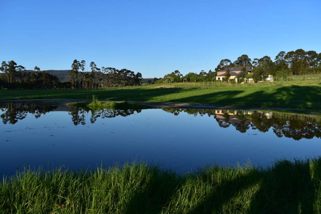 One of the two lakes in Gypsy Creek winery