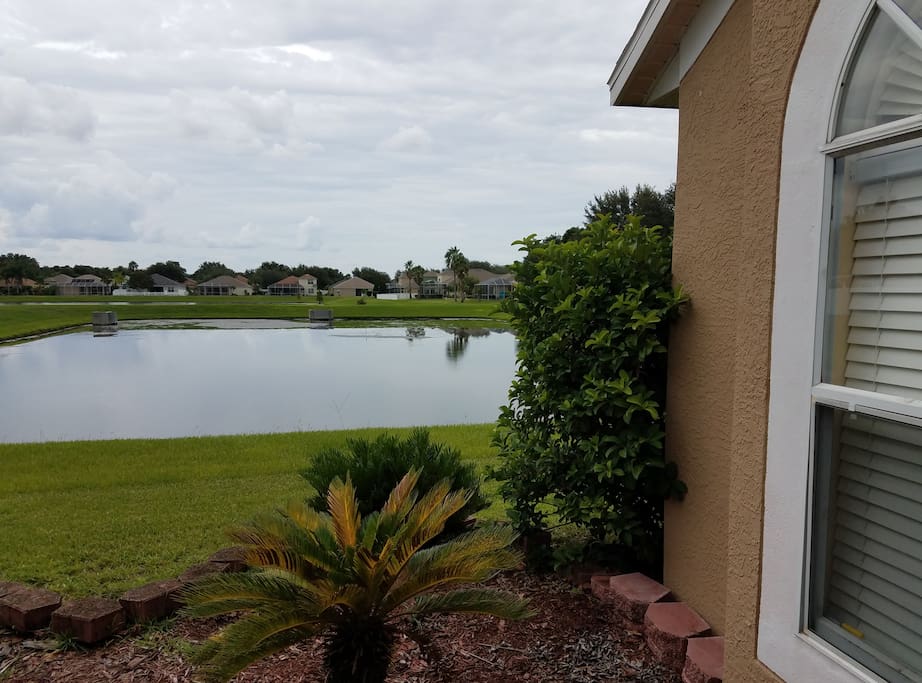 Lake view