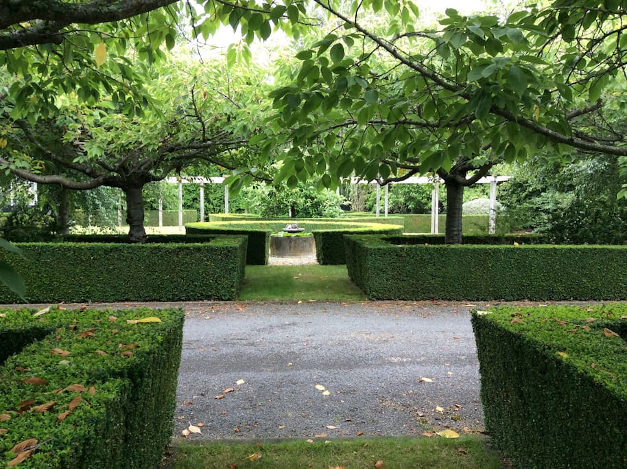 Part of hosts front garden