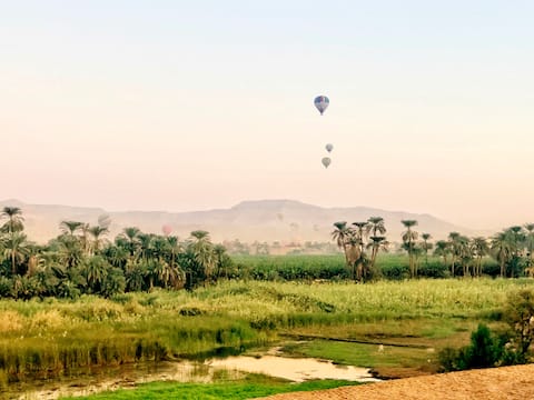 Incredible Nile, sunrise/set roof view, *NEW POOL*