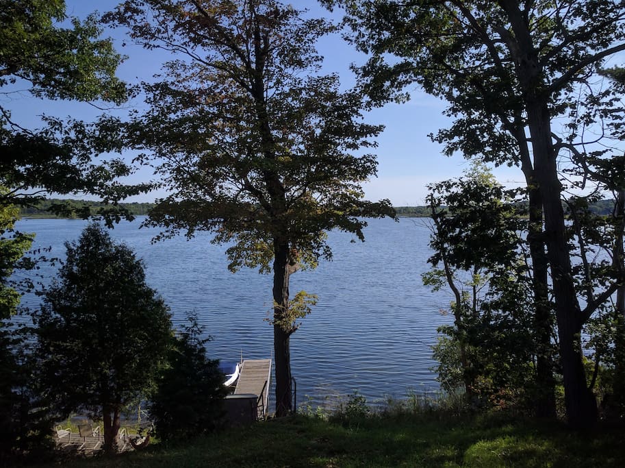 View from deck